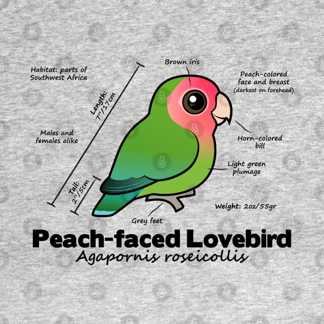 Lovebird Stats by birdorable